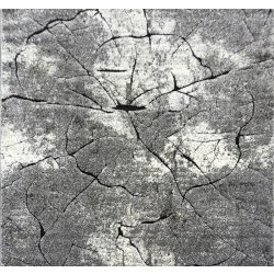 Miami 129 szürke szőnyeg 140x140 cm négyzet alakú