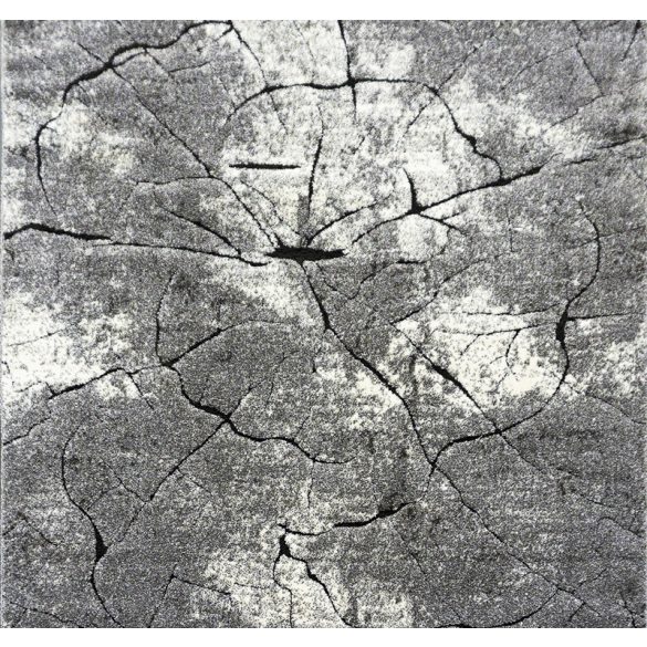 Miami 129 szürke szőnyeg 140x140 cm négyzet alakú
