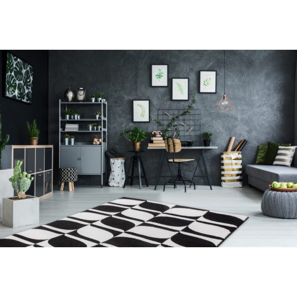 Black&White 393 fekete-fehér szőnyeg 160x230 cm