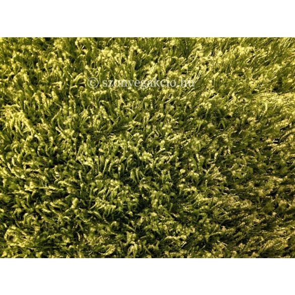 Papilon zöld szőnyeg 120x170 cm