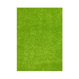 Egyszínű szőnyeg PC00A_FMC55 kiwizöld  80x150 cm
